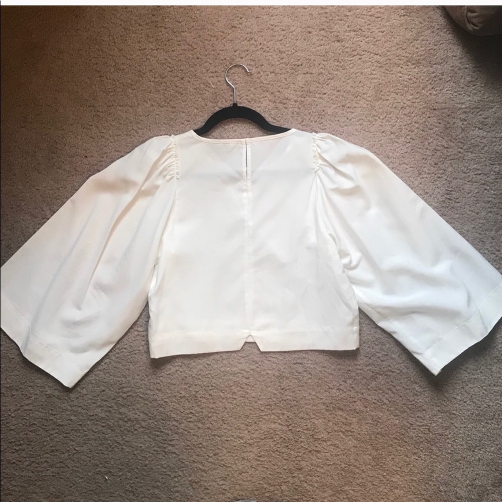 ZARA Crop - Picture 3 of 3